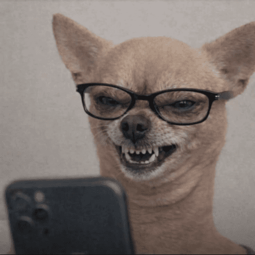 Reactions Funny Pets 🐾✨ 11
