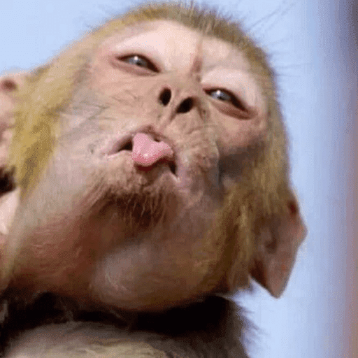 Reactions Funny Pets 🐾✨ 10