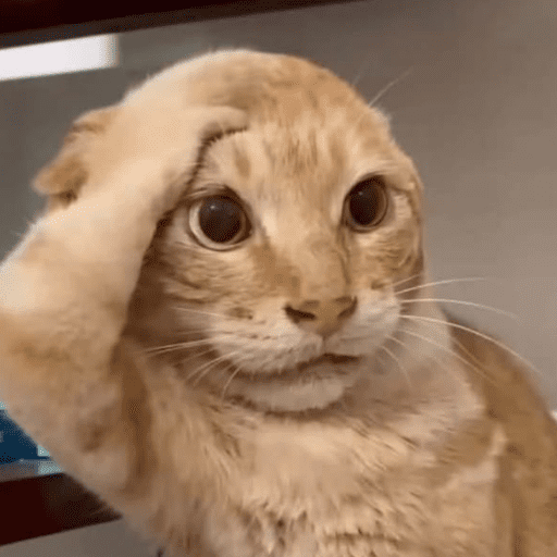 Reactions Funny Pets 🐾✨ 17