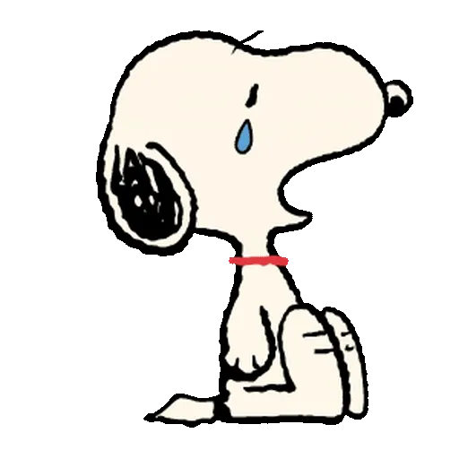 Snoopy Sunglasses ✨🐾 23