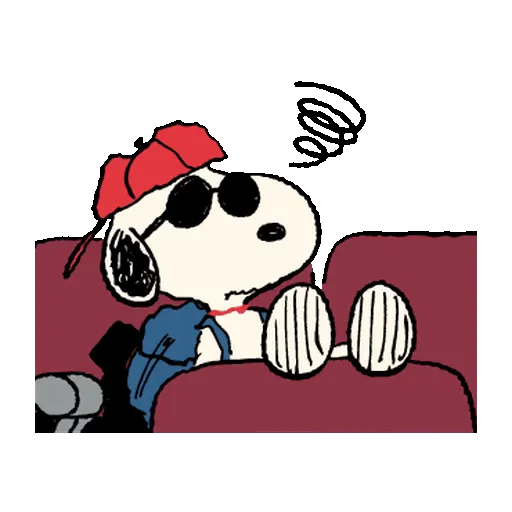 Snoopy Sunglasses ✨🐾 16
