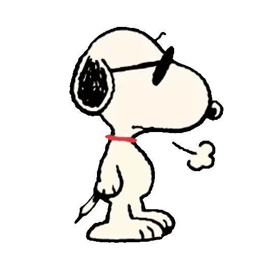Snoopy Sunglasses ✨🐾 17
