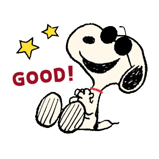 Snoopy Sunglasses ✨🐾 7