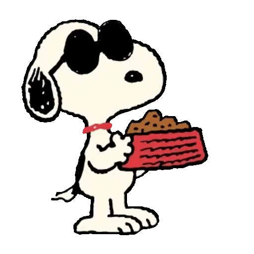 Snoopy Sunglasses ✨🐾 12