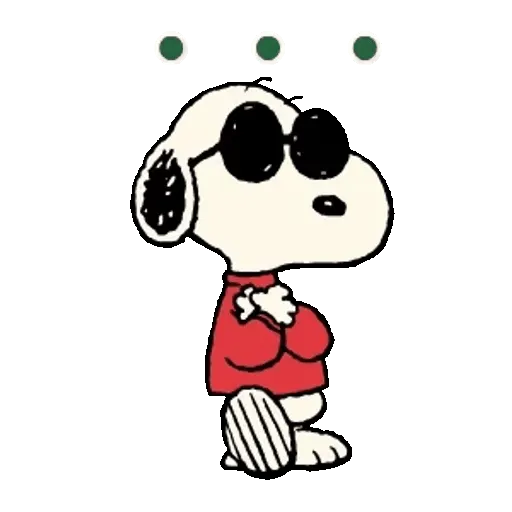 Snoopy Sunglasses ✨🐾 4
