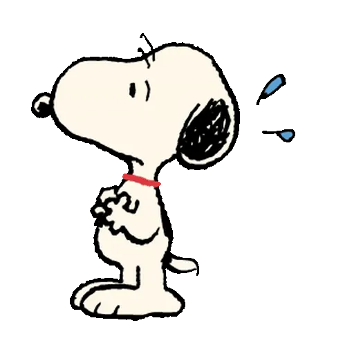 Snoopy Sunglasses ✨🐾 22