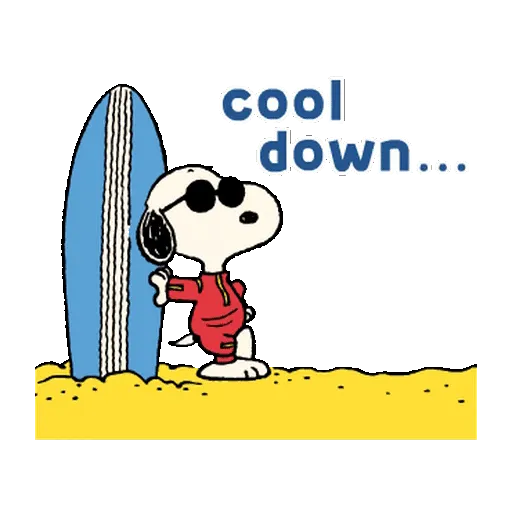 Snoopy Sunglasses ✨🐾 19