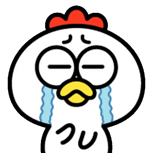 Funny Bird ✨🐦2 4