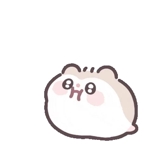 Pequeño Hàmster 🐹 11