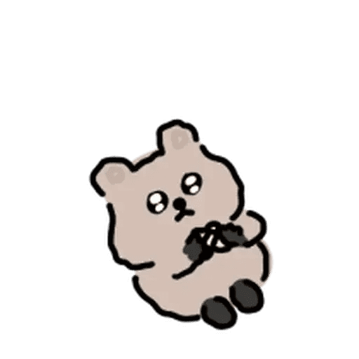 It's a Quokka 🐻✨ 6