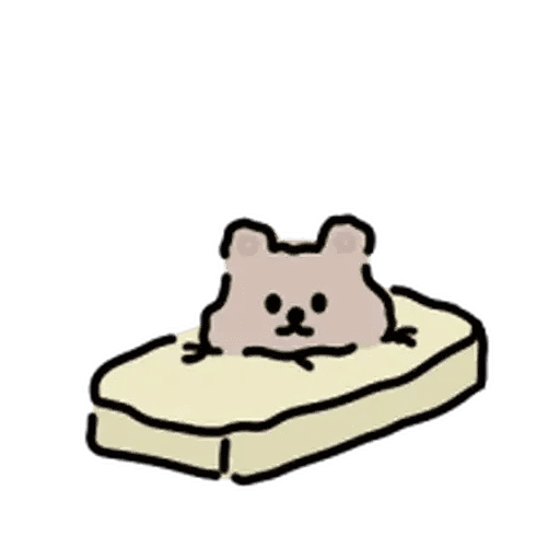 It's a Quokka 🐻✨ 10