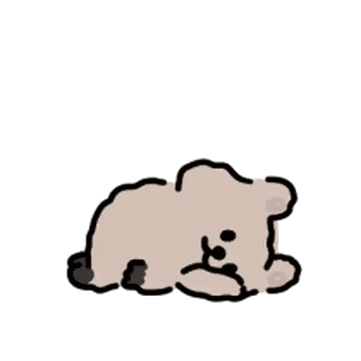 It's a Quokka 🐻✨ 9