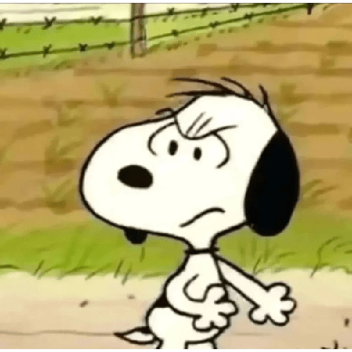 Snoopy  11
