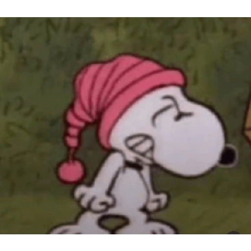 Snoopy  13