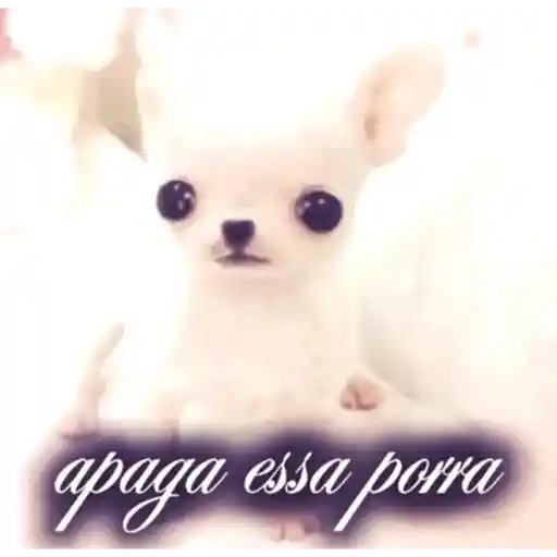Animadas