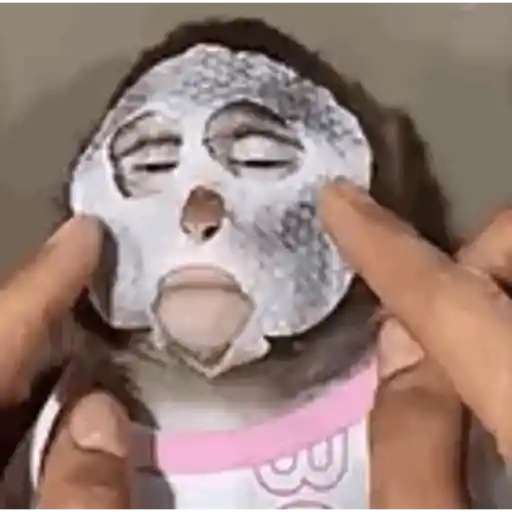 Animadas 7