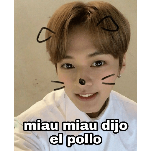 Stray kids ᜊ 6