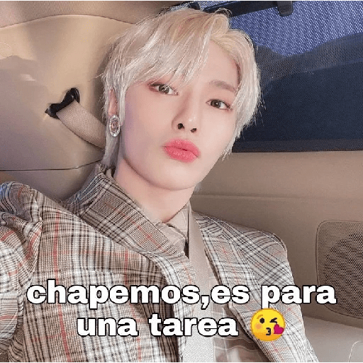 Stray kids ᜊ 24