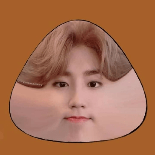 Stray kids ᜊ 29