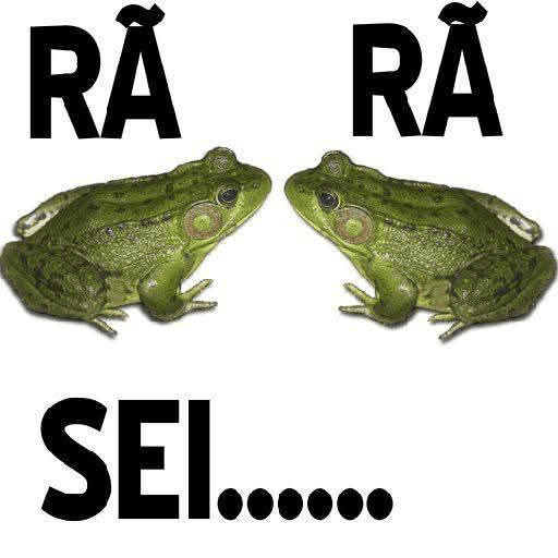 Zuera a rodo 27