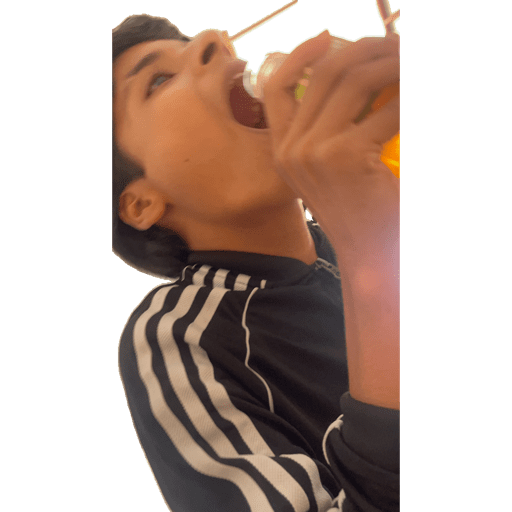 No c 13