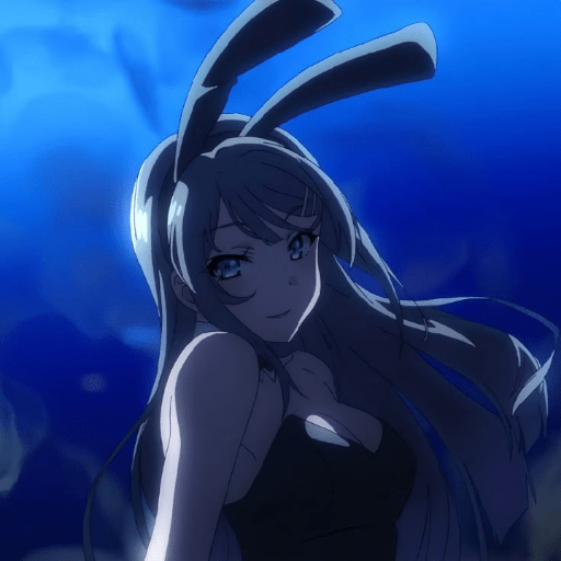 Mai sakurajima 24