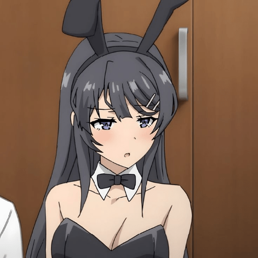 Mai sakurajima 23