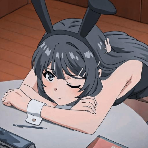 Mai sakurajima 22