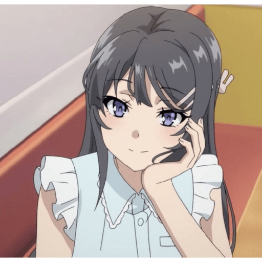 Mai sakurajima 13
