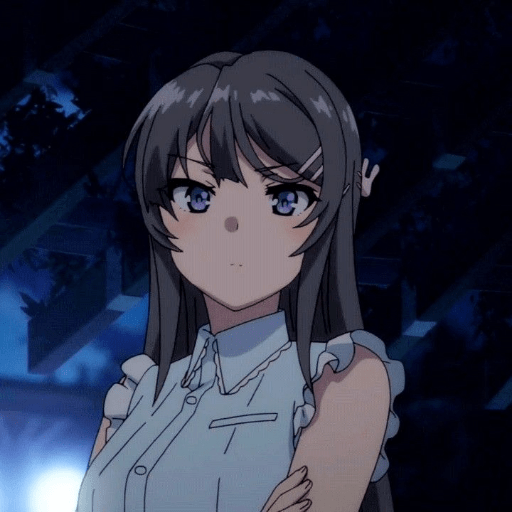 Mai sakurajima 12
