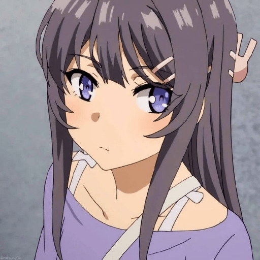 Mai sakurajima 11