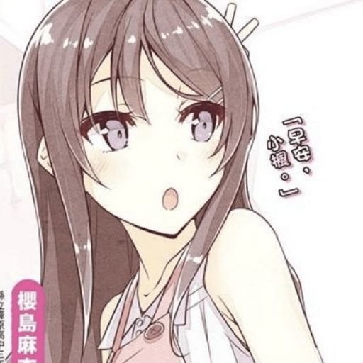 Mai sakurajima 30