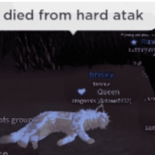 Warrior cats 2 2