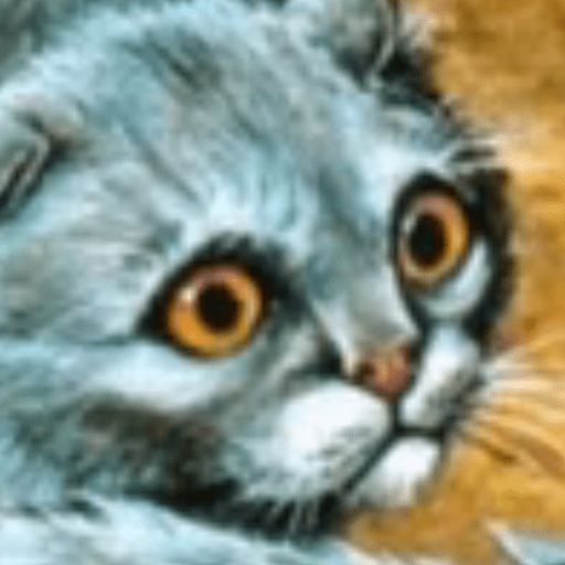 Warrior cats 2 14