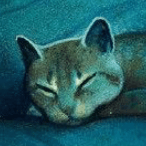 Warrior cats 2 6