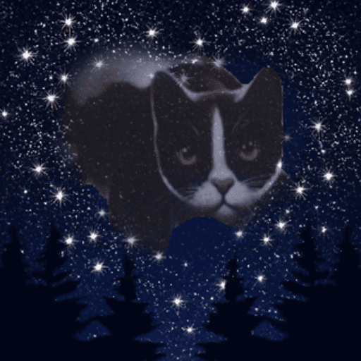 Warrior cats 2 19