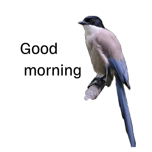 Greetings a 27