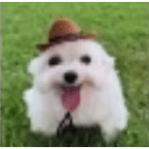 Oi posso fala 11