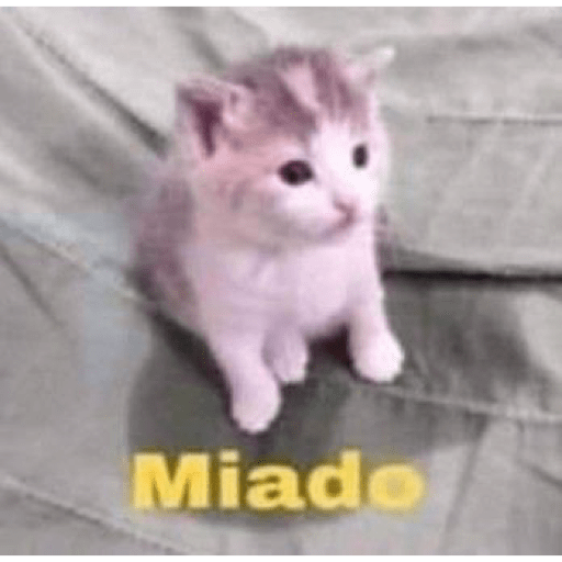 Gatos random 25