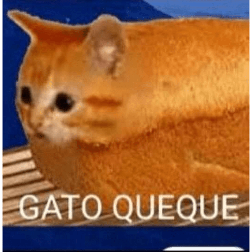 Gatos random 18