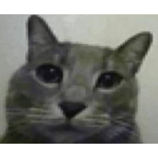 Gatos random 5