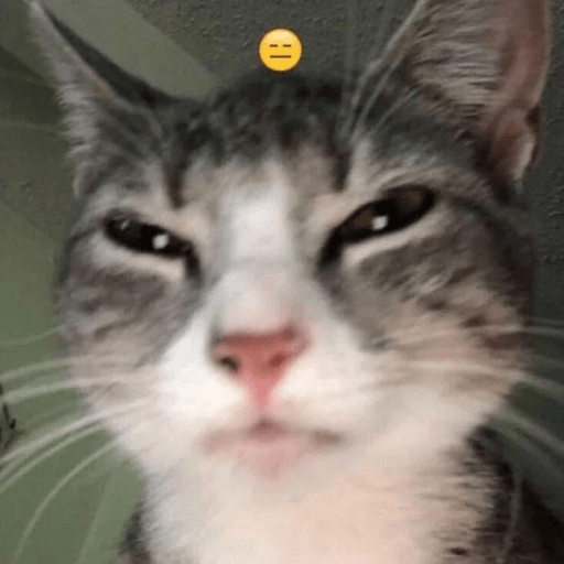 Gatos random 30