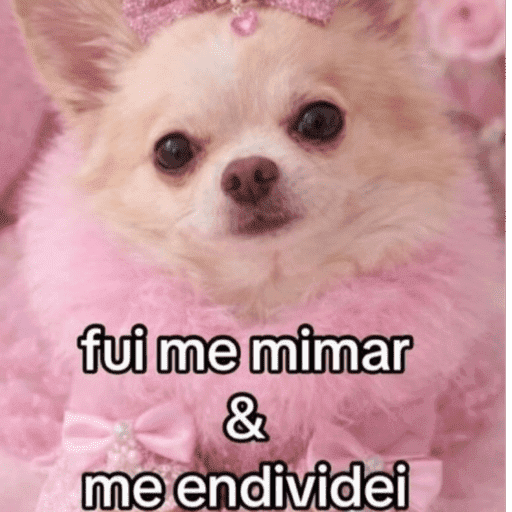 EXTRA 11