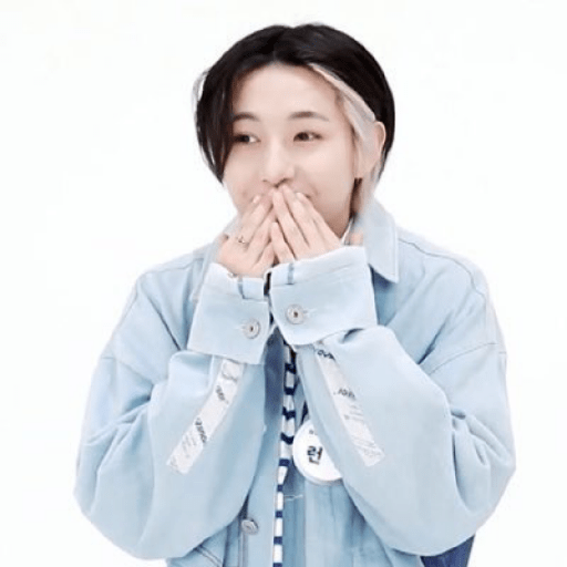 Renjun lusyu