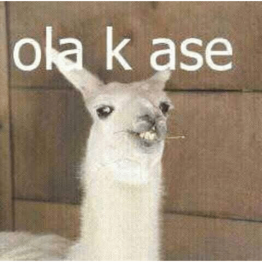 XDXD 23