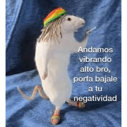 XDXD 27