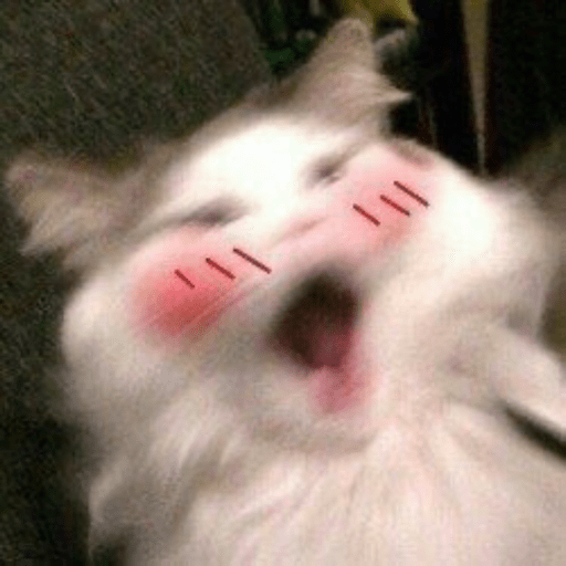 Darlita uwu💓💕 8