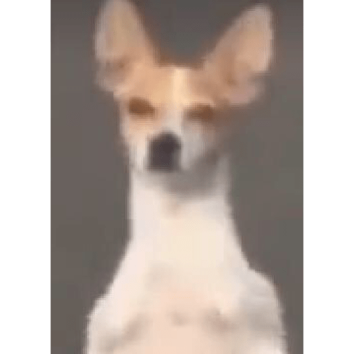 Lol 28