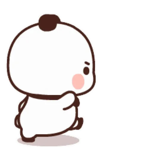 Cat cute  12