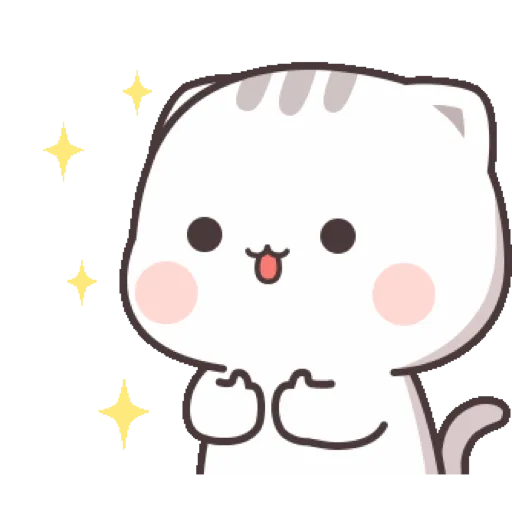 Cat cute  19